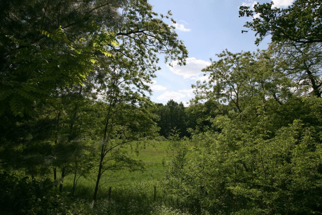Landpension Germania Neuhausen  エクステリア 写真